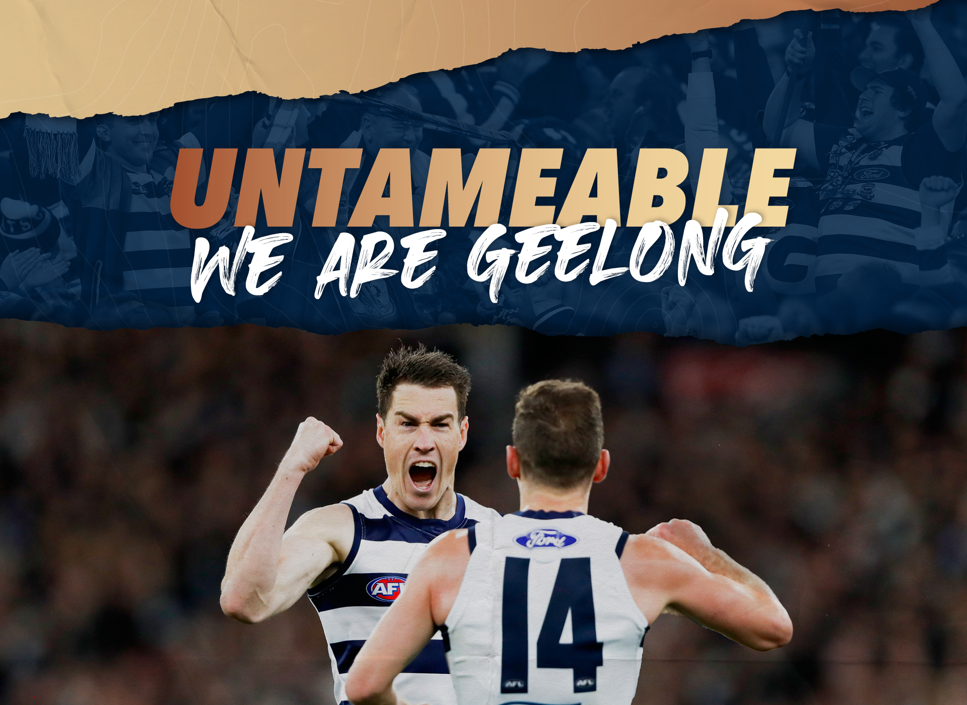Geelong Cats Membership